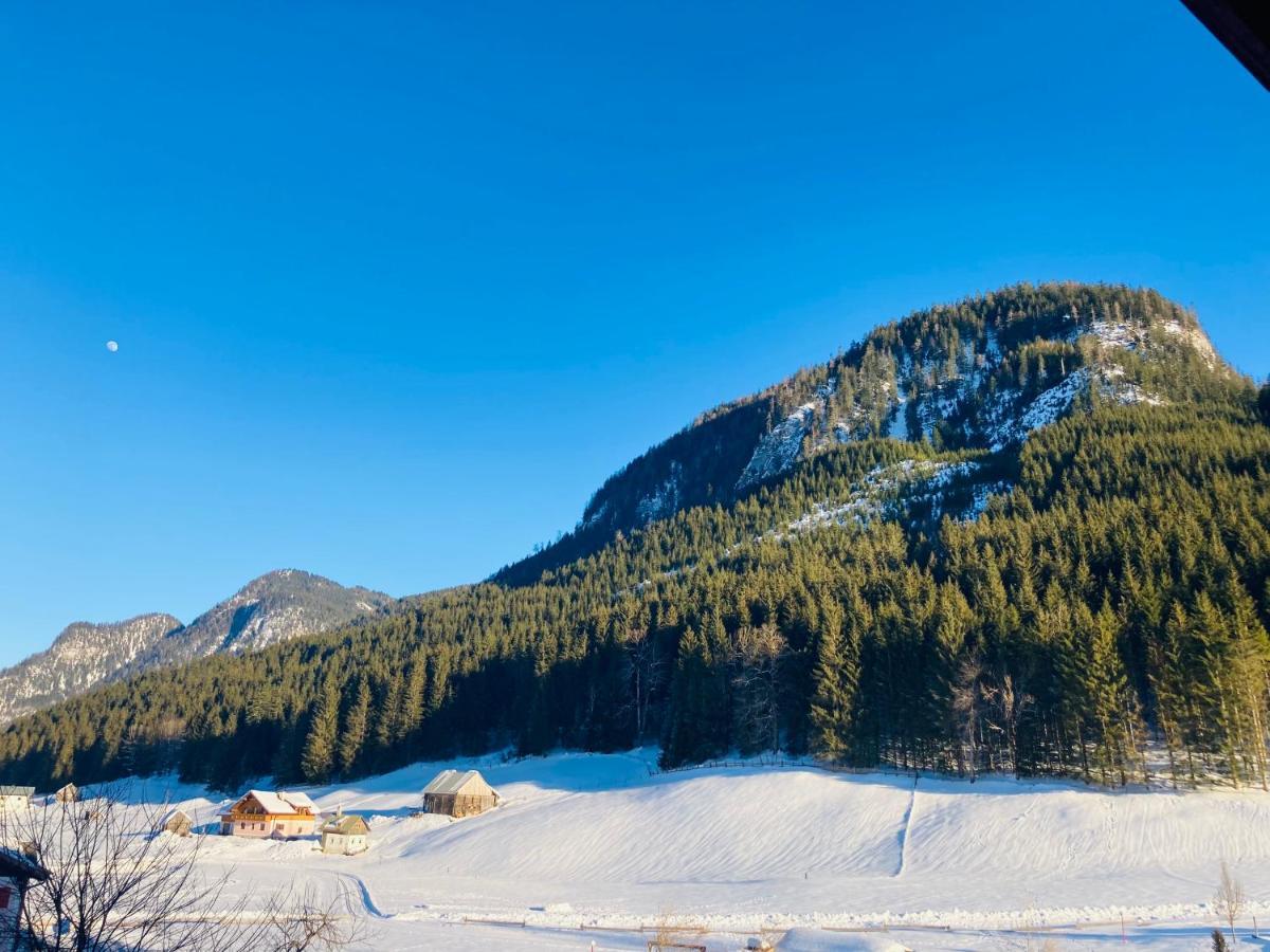 Hallstatt Dachstein Inn Gosau Kültér fotó