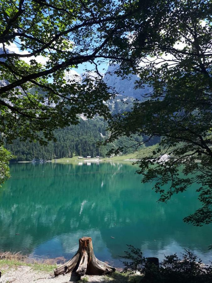 Hallstatt Dachstein Inn Gosau Kültér fotó