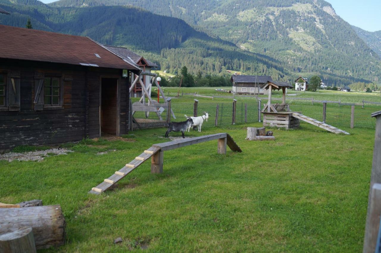 Hallstatt Dachstein Inn Gosau Kültér fotó